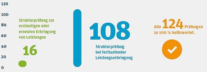 Säulendiagramm zur Anzahl an Strukturprüfungen