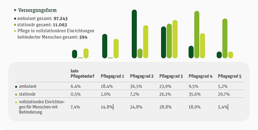 Säulendiagramme: Pflegebedarf nach Versorgungsform