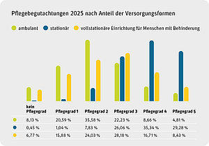S&auml;ulendiagramm: Pflegebegutachtungen 2025 nach prozentualem Anteil der Versorgungsformen
